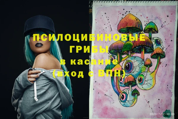 прущие грибы Алексеевка