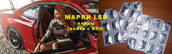 прущие грибы Алексеевка